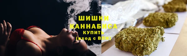 шишки Козельск
