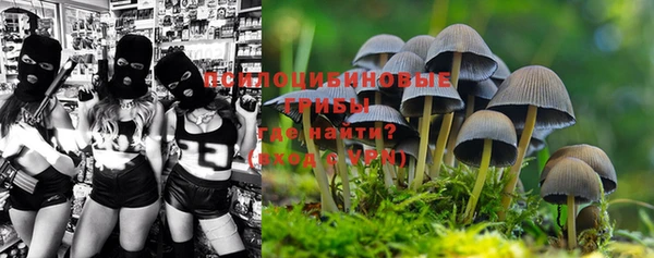 прущая мука Кинешма