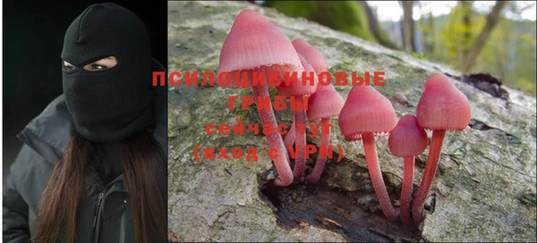 прущая мука Кинешма