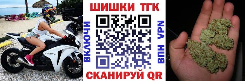 Купить где  Сосновый Бор  Бошки Шишки план 